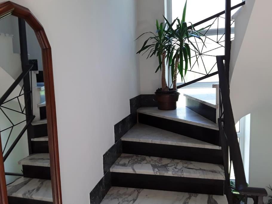 Le Jasmin Da Marina Apartment Сен Венсан Екстериор снимка